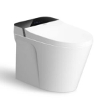 Bồn Cầu Thông Minh Viglacera