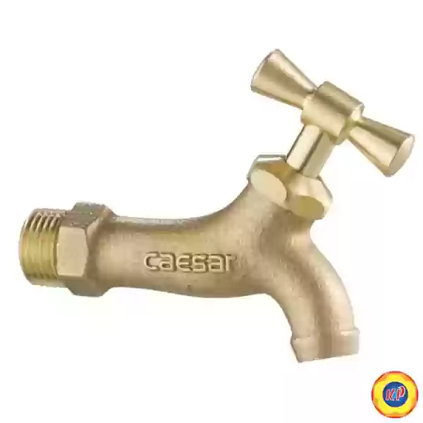 Vòi Lạnh Gắn Tường CAESAR W034 (Ø21)