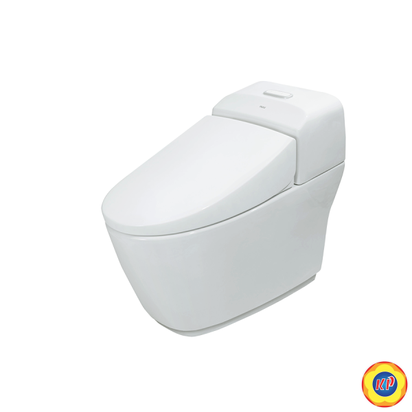 Bồn Cầu INAX AC-1032VN (AC1032VN) 1 Khối Nắp Êm Aqua Ceramic