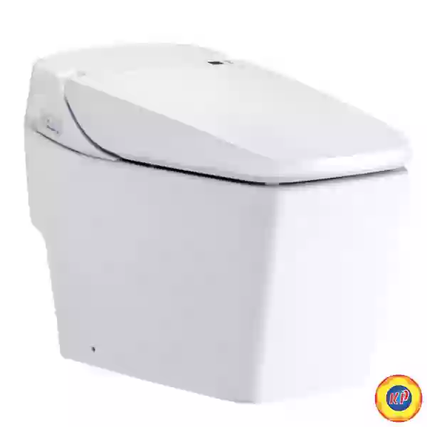 Bàn Cầu Cảm Ứng COTTO C10227 Tunio
