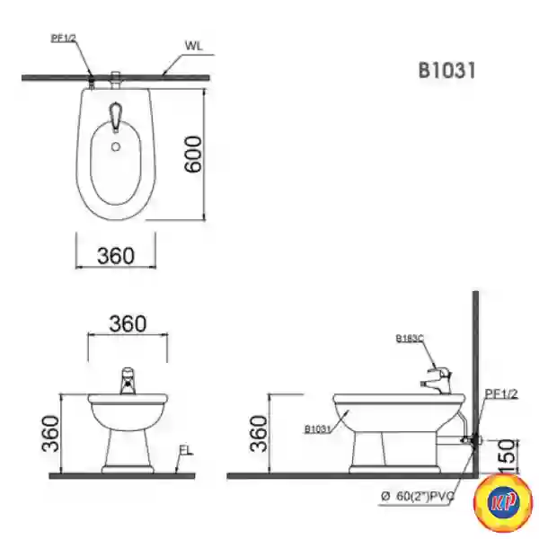 Bồn Tiểu Nữ CAESAR B1031