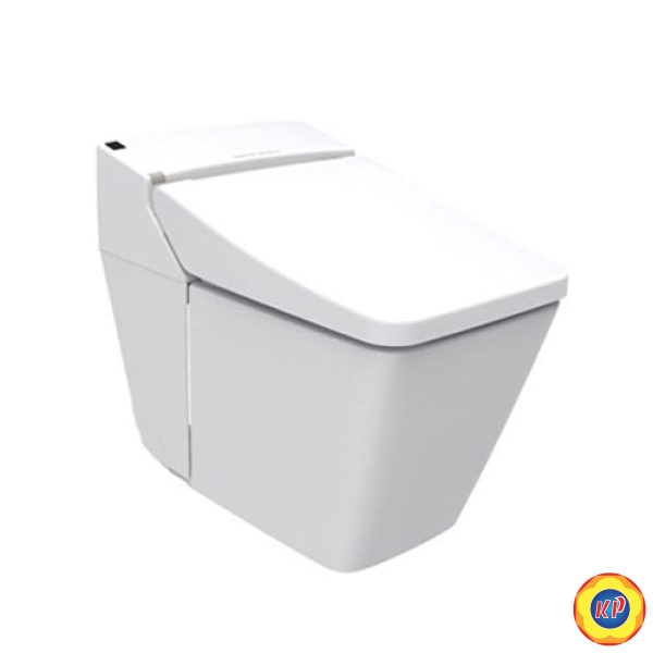 Bồn Cầu Thông Minh American Standard WP-1806 Acacia E