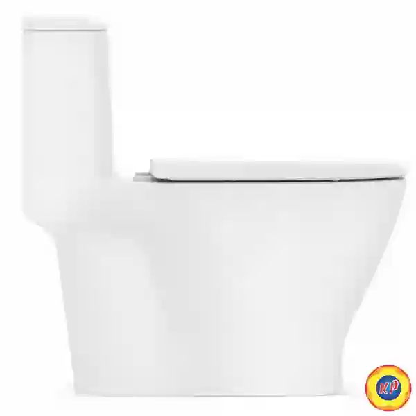 Bồn Cầu 1 Khối American Standard VF-1862 LOVEN