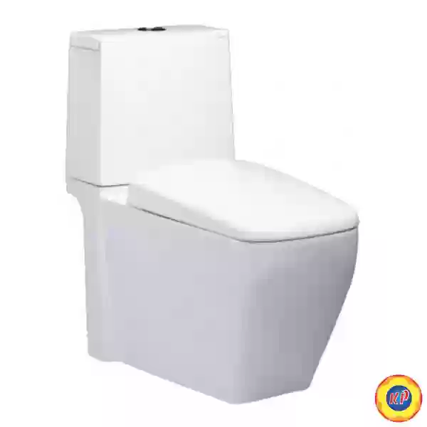 Bồn Cầu CAESAR CD1346 Thùng T1146 Nắp Êm