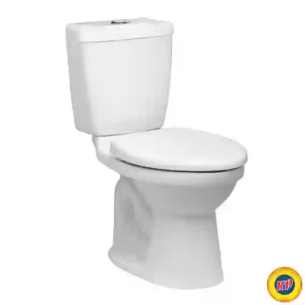 Bàn Cầu CAESAR CTS1325 Thùng T1125 1 Nhấn Nắp Êm