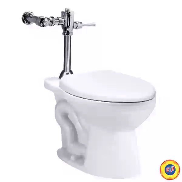 Bàn Cầu Xả Gạt Tay CAESAR CP1333/BF521A