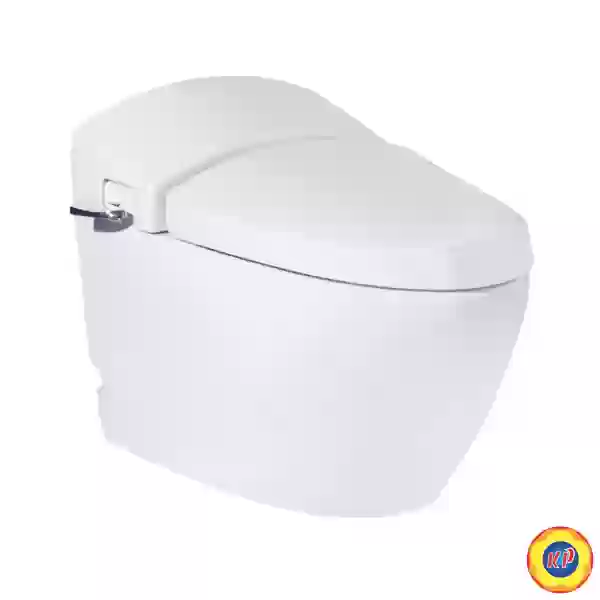 Bồn Cầu COTTO C10037 Một Khối Terranova Cao Cấp