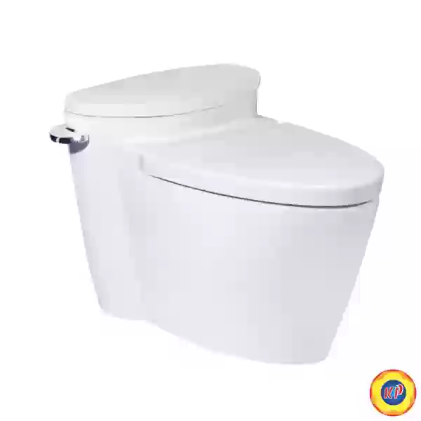 Bồn Cầu COTTO C10047 Một Khối Paragon Cao Cấp
