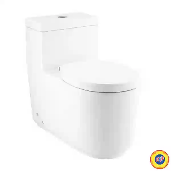 Bồn Cầu COTTO C102907 Paetchwork Xả Nhấn