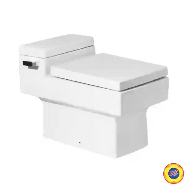 Bàn Cầu COTTO C10317 Một Khối Quado Xả Gạt