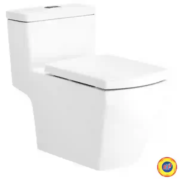 Bồn Cầu COTTO C10717 Một Khối Grand Tetragon