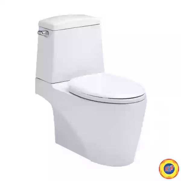 Bồn Cầu COTTO C13527 2 Khối Riviera Xả Gạt