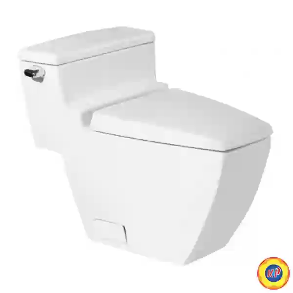 Bồn Cầu COTTO C10187 Một Khối Hercules Xả Gạt