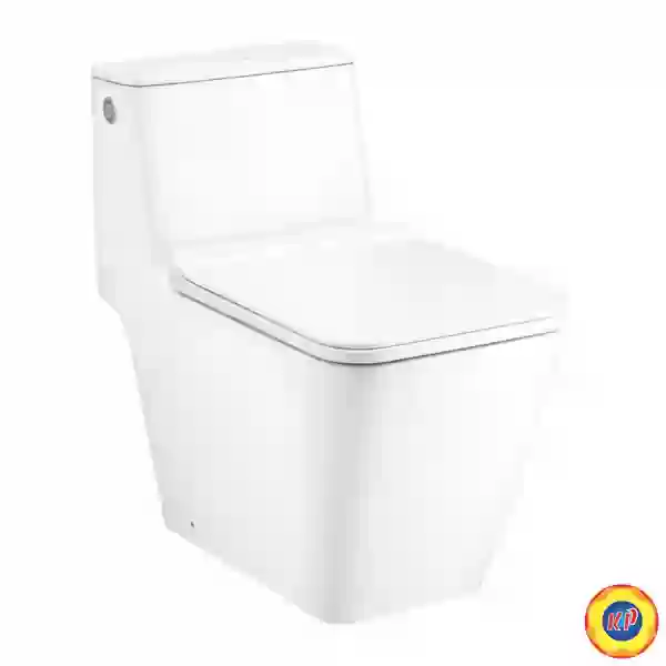 Bồn Cầu Cotto C103257 Một Khối Xả Chạm SINGLE FLUSH