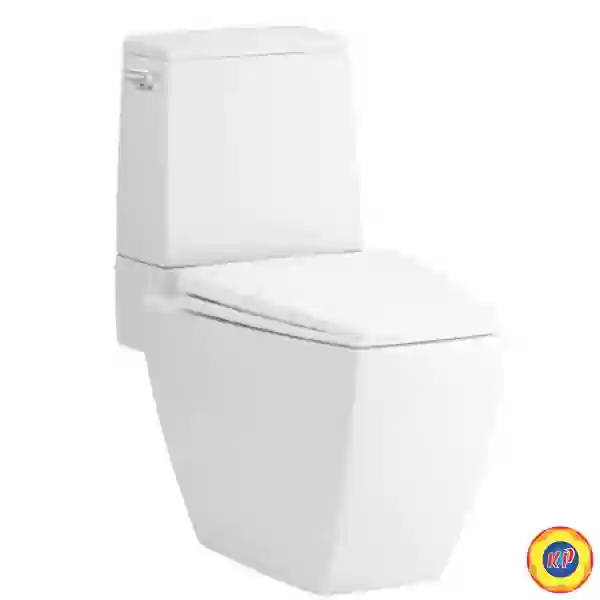 Bồn Cầu COTTO C13507 Hai Khối Hercules Xả Gạt