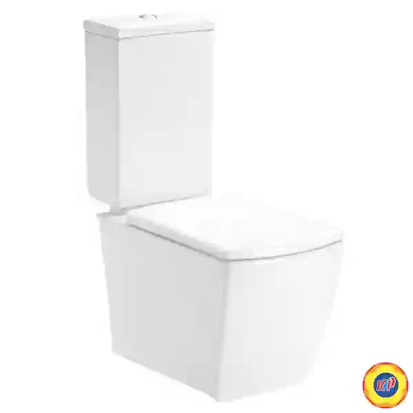Bồn Cầu COTTO C16897 Hai Khối 3x3 R3
