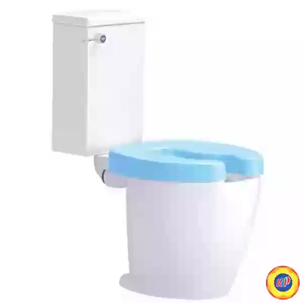 Bồn Cầu COTTO SC6652 WH 2 Khối Cho Người Già Khuyết Tật