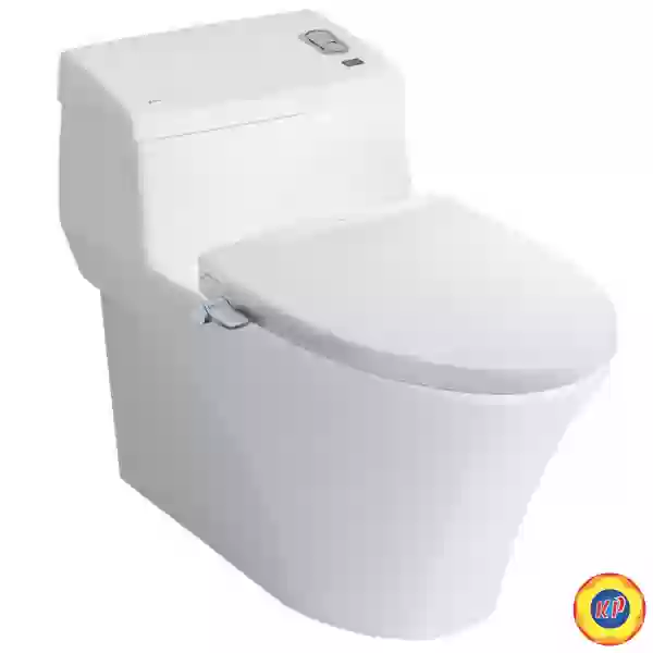 Bồn Cầu INAX AC-1008R/CW-S32VN Nắp Rửa Cơ