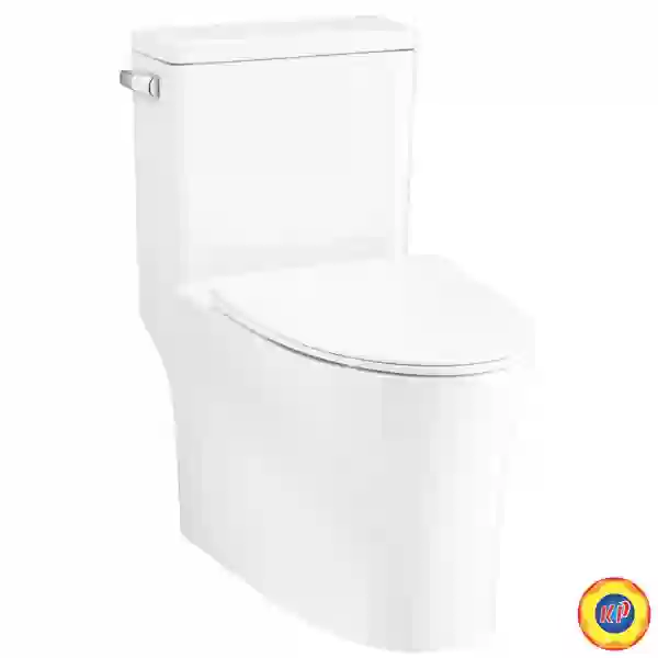 Bồn Cầu COTTO C105617 Một Khối Xả Gạt