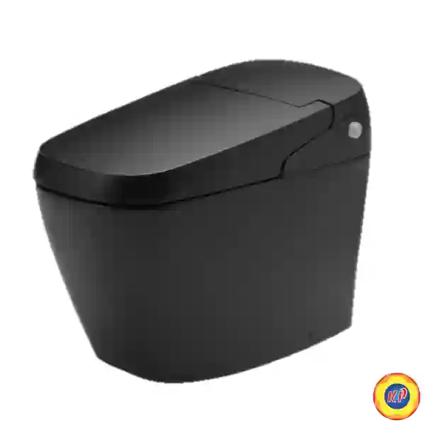 Bồn Cầu Thông Minh INAX AC-G216VN/BKG (ACG216VN) Satis Màu Đen