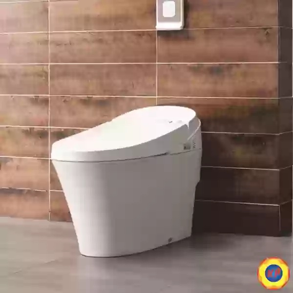 Bồn Cầu Thông Minh Viglacera V91