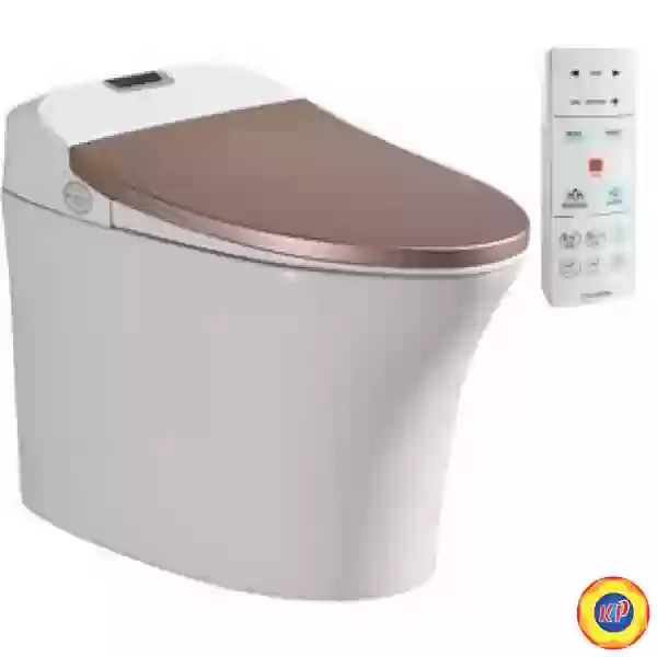 Bồn Cầu Thông Minh Viglacera V93.GW