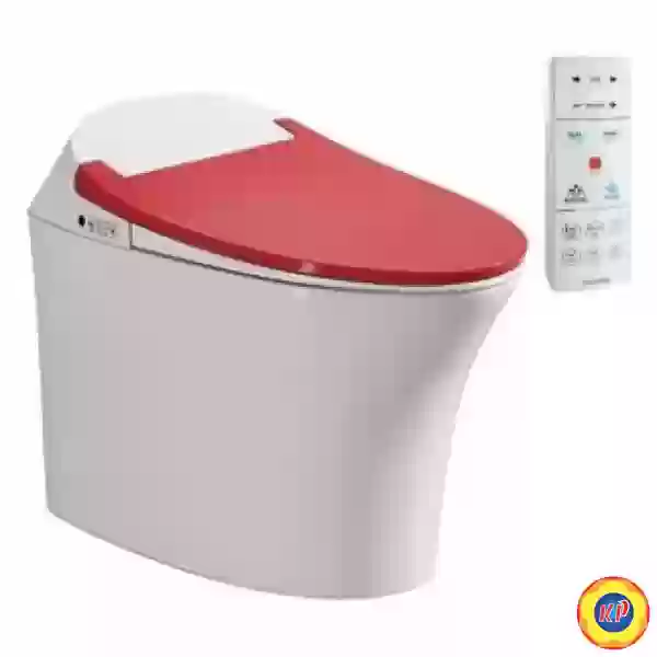 Bồn Cầu Thông Minh Viglacera V93.RW