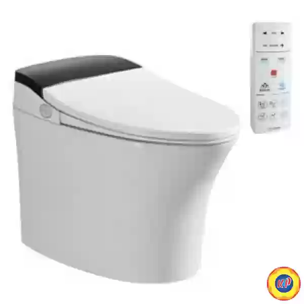 Bồn Cầu Thông Minh Viglacera V93.WB