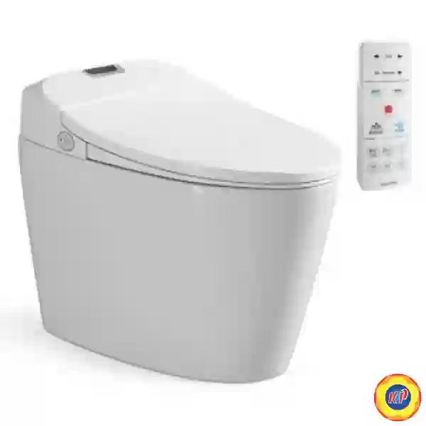 Bồn Cầu Thông Minh Viglacera V94