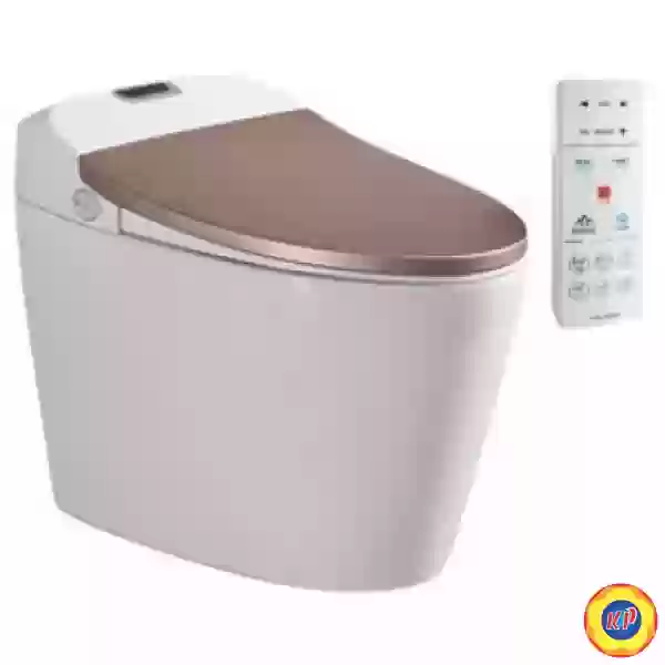 Bồn Cầu Thông Minh Viglacera V94.GW