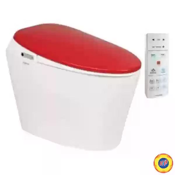 Bồn Cầu Thông Minh Viglacera V94.R
