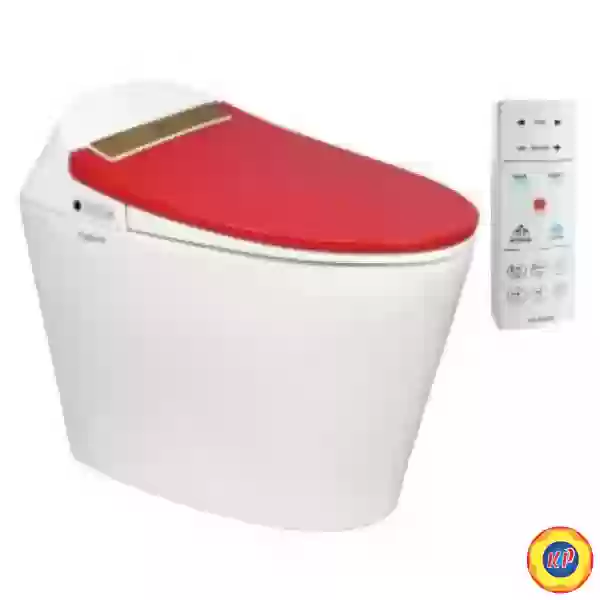 Bồn Cầu Thông Minh Viglacera V94.RW