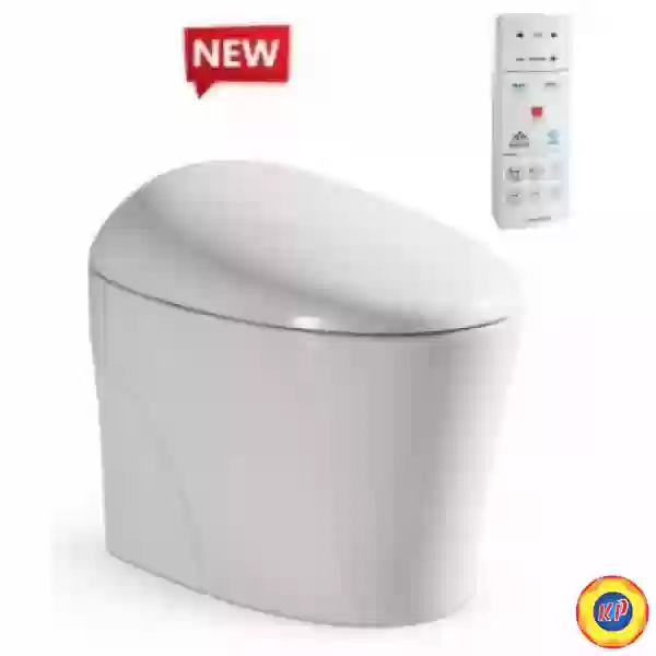 Bồn Cầu Thông Minh Viglacera V95