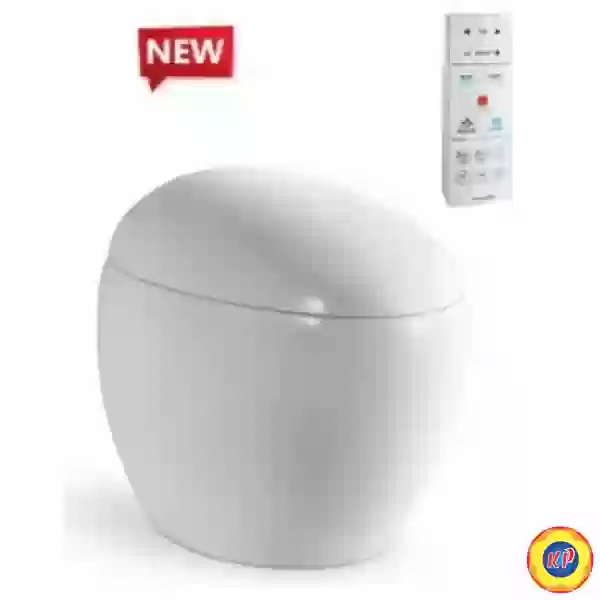 Bồn Cầu Thông Minh Viglacera V96