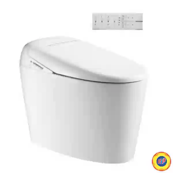 Bồn Cầu Thông Minh Viglacera V97
