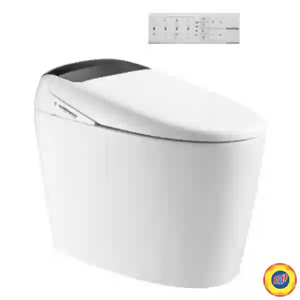 Bồn Cầu Thông Minh Viglacera V97.WB