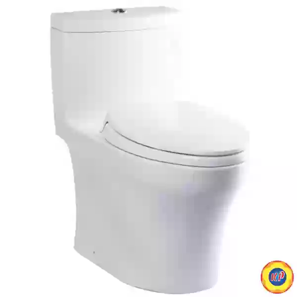 Bồn Cầu TOTO MS889DRT2 (MS889DT2) Một Khối Nắp TC393VS