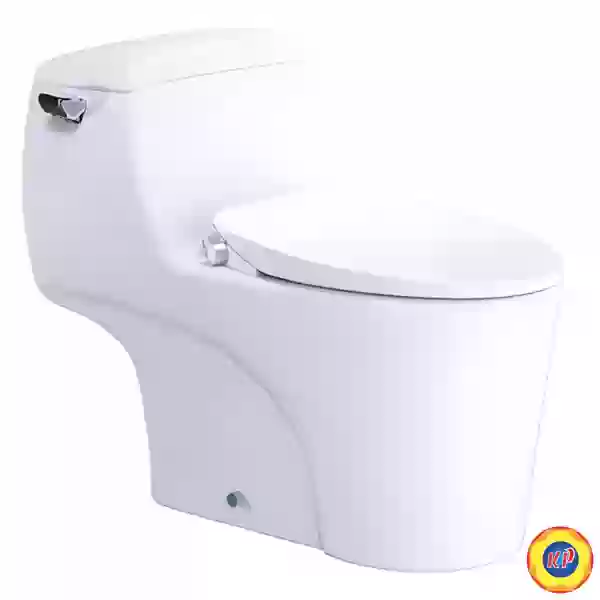 Bồn Cầu CAESAR C1353F/TAF060 Nắp Rửa Cơ