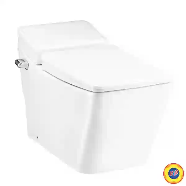 Bồn Cầu COTTO C10147 Một Khối Thantara