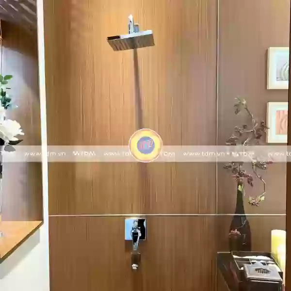 Vòi Sen Âm Tường CAESAR BS644 Nóng Lạnh