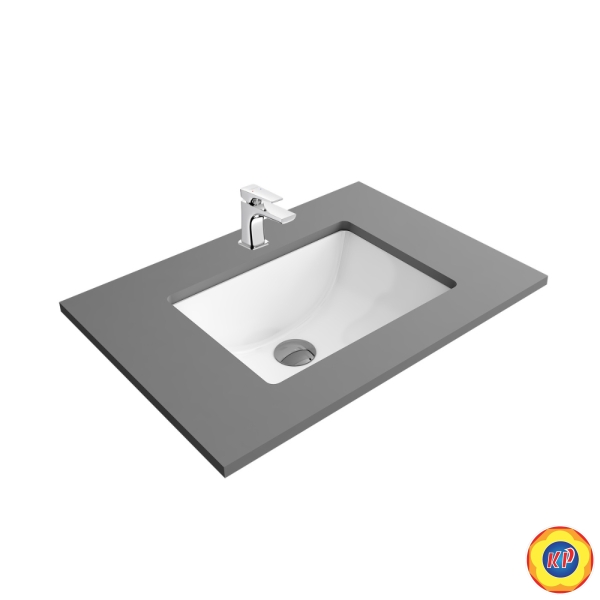 Chậu Rửa Mặt Lavabo Viglacera TS1 Âm Bàn