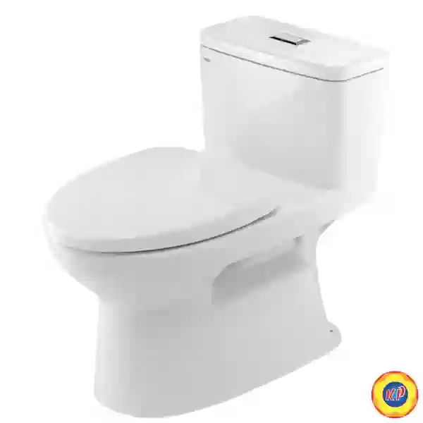 Bồn Cầu INAX AC-969VN (AC969VN) 1 Khối Aqua Ceramic (TDM)
