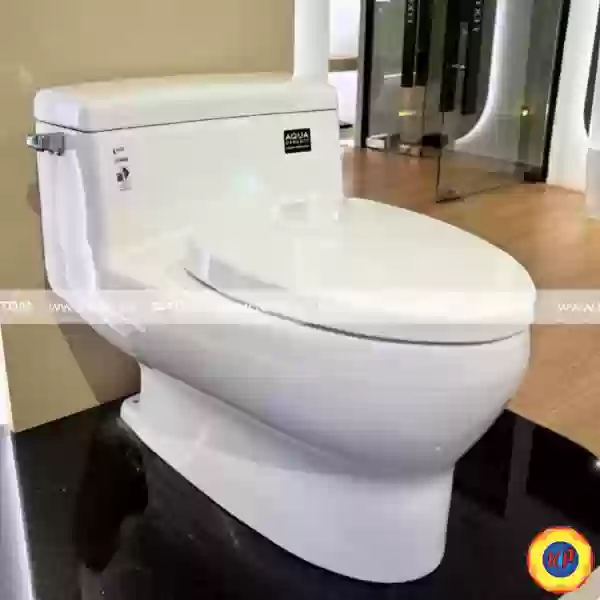 Bồn Cầu INAX AC-4005VN (AC4005VN) Một Khối Aqua Ceramic Mới