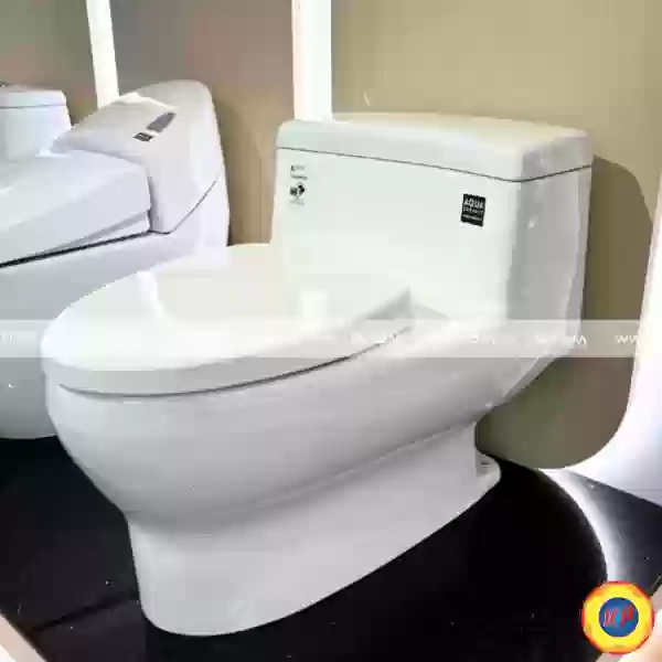 Bồn Cầu INAX AC-4005VN (AC4005VN) Một Khối Aqua Ceramic Mới