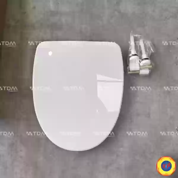 Nắp Êm Bồn Cầu INAX CF-57VSAK (C-306VAN)