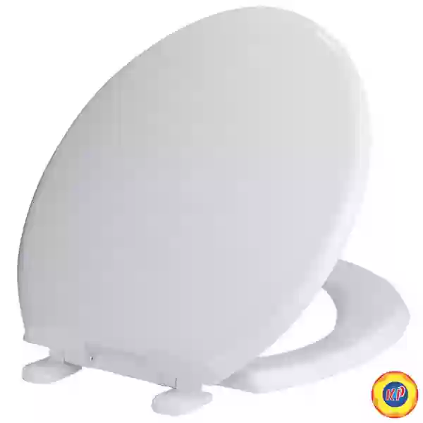 Nắp Thường American Standard SCVN3900-WT 