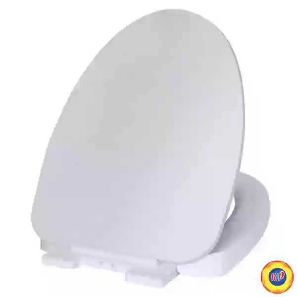 Nắp Êm American Standard 491000S-WT