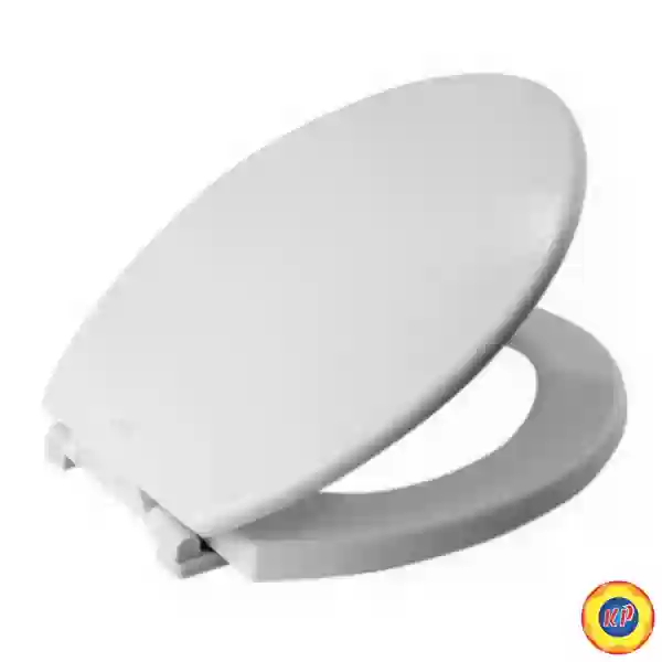 Nắp Êm American Standard SCCNB1060S-WT