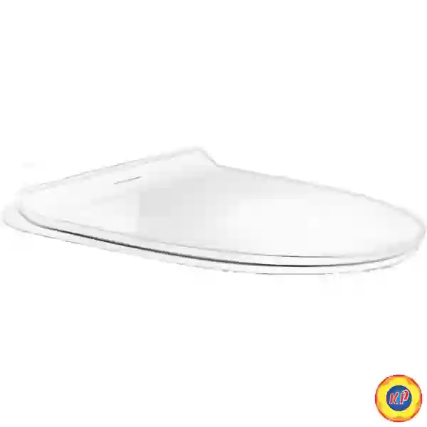 Nắp Êm American Standard WP-C119S