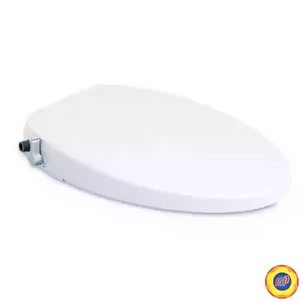 Nắp Rửa Cơ Cotto CVN92201 Convenience 2 Chế Độ
